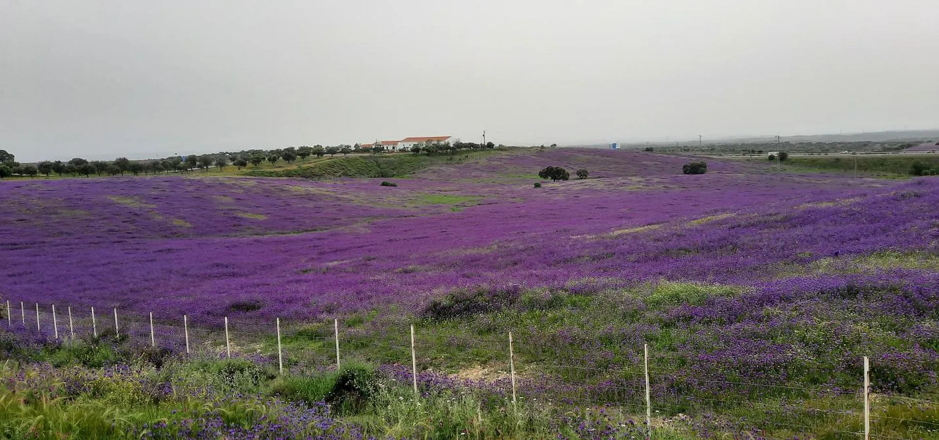 El Refugio Guest House Seville Country house